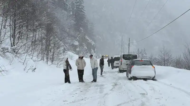 Trabzon'da Çığ Faciası: Karayolunda Hayat Durdu