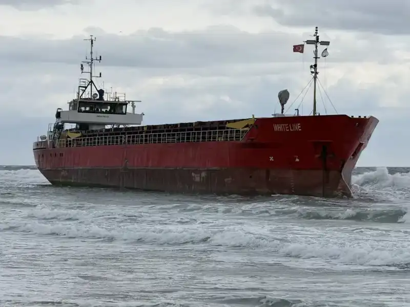 Tekirdağ'da Yük Gemisi Karaya Oturdu: Olayın Sebepleri ve Sonuçları