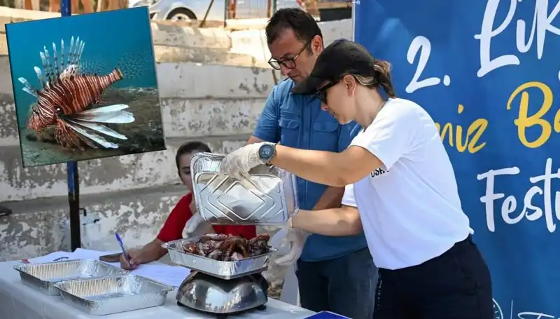 Antalya'da Aslan Balığı Avlama Yarışması: Sürdürülebilir Balıkçılığın Yeni Bir Yüzü