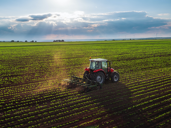 Ekonomik Büyüme Tarımı Neden Kurtaramıyor? Derinlemesine İnceleme